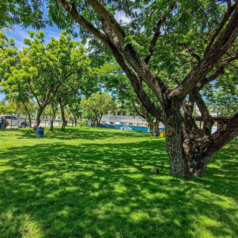 pasilong sa naga|Pasilong sa Naga: A Green Public Park in Cebu South .
